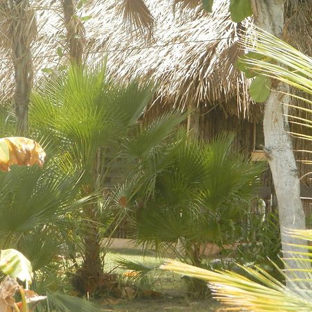 הופקינס Palmento Grove Cultural And Fishing Lodge מראה חיצוני תמונה