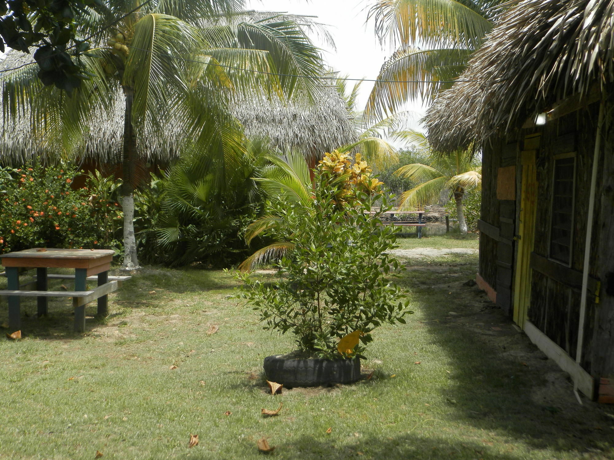 הופקינס Palmento Grove Cultural And Fishing Lodge מראה חיצוני תמונה