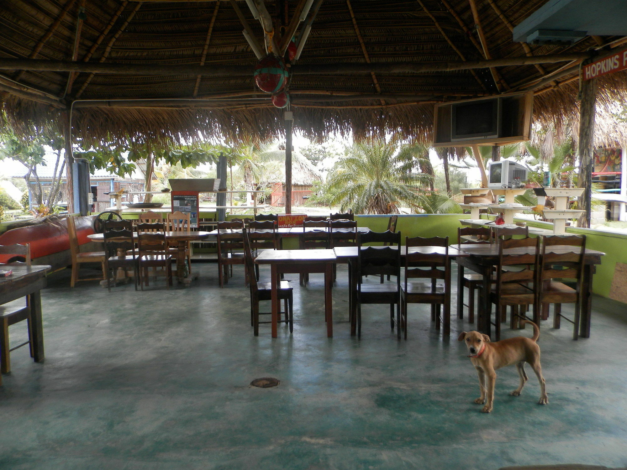 הופקינס Palmento Grove Cultural And Fishing Lodge מראה חיצוני תמונה