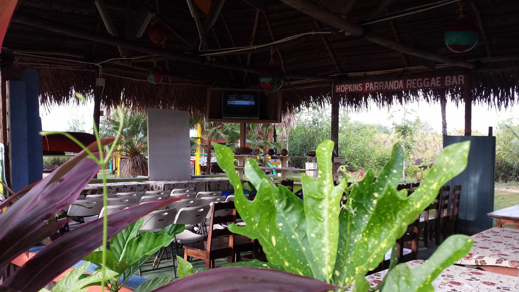 הופקינס Palmento Grove Cultural And Fishing Lodge מראה חיצוני תמונה