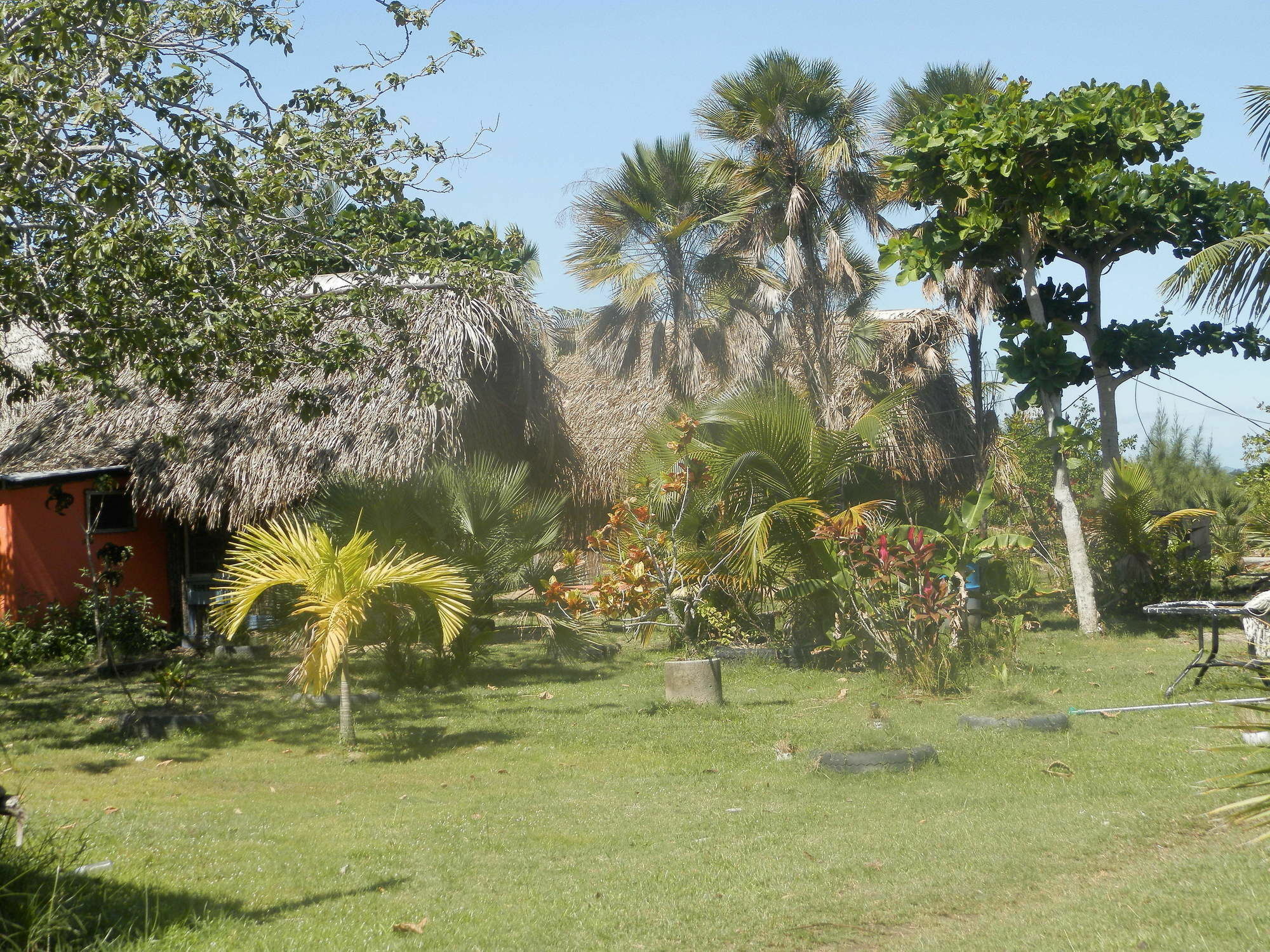 הופקינס Palmento Grove Cultural And Fishing Lodge מראה חיצוני תמונה