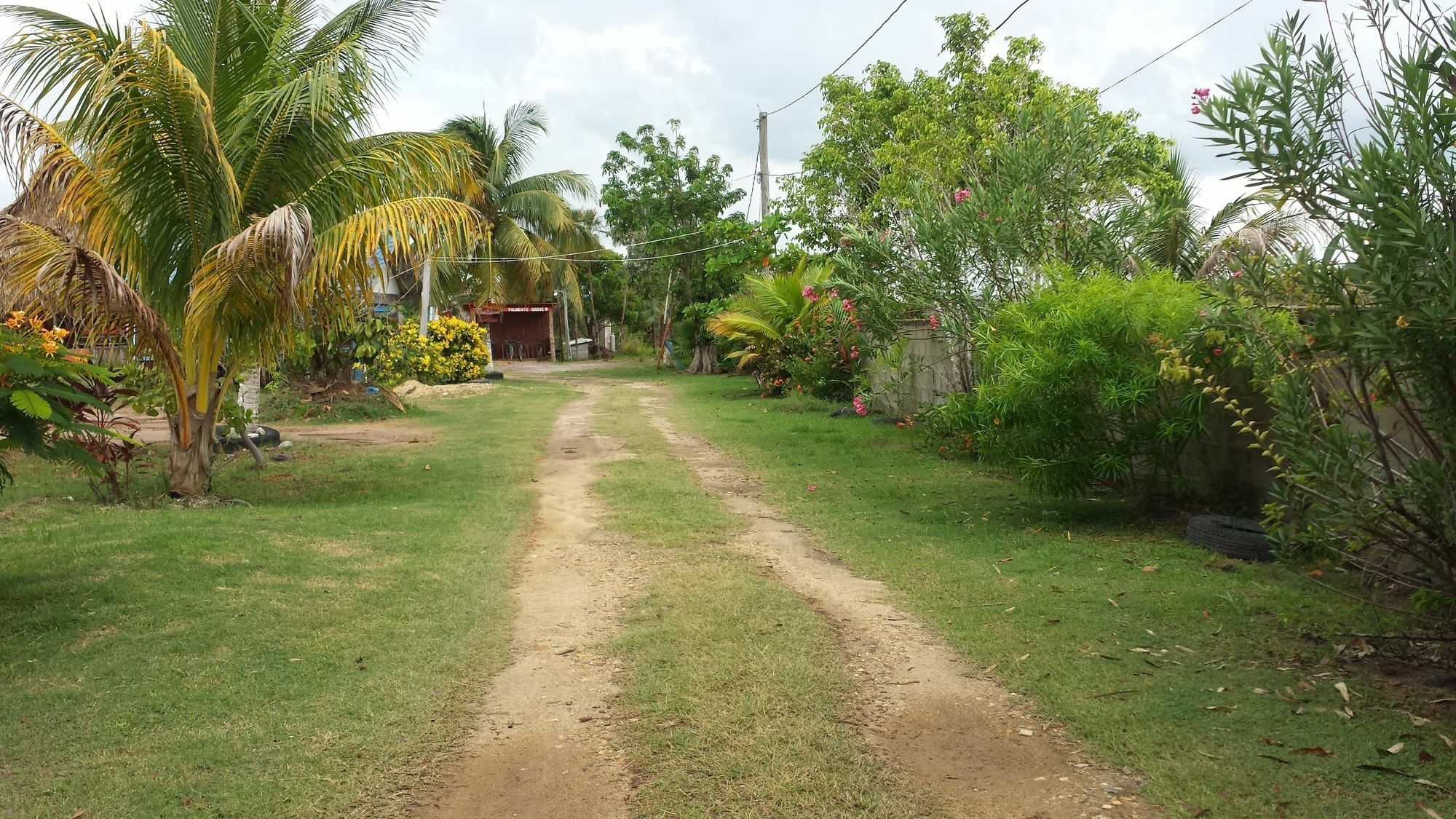 הופקינס Palmento Grove Cultural And Fishing Lodge מראה חיצוני תמונה