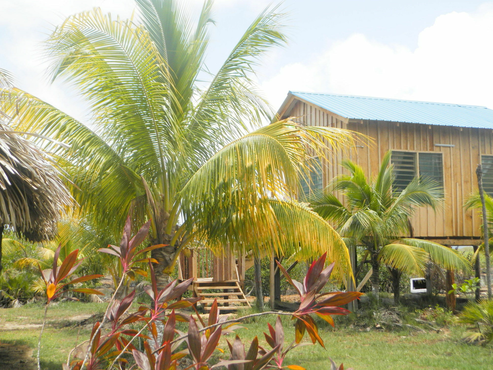 הופקינס Palmento Grove Cultural And Fishing Lodge מראה חיצוני תמונה