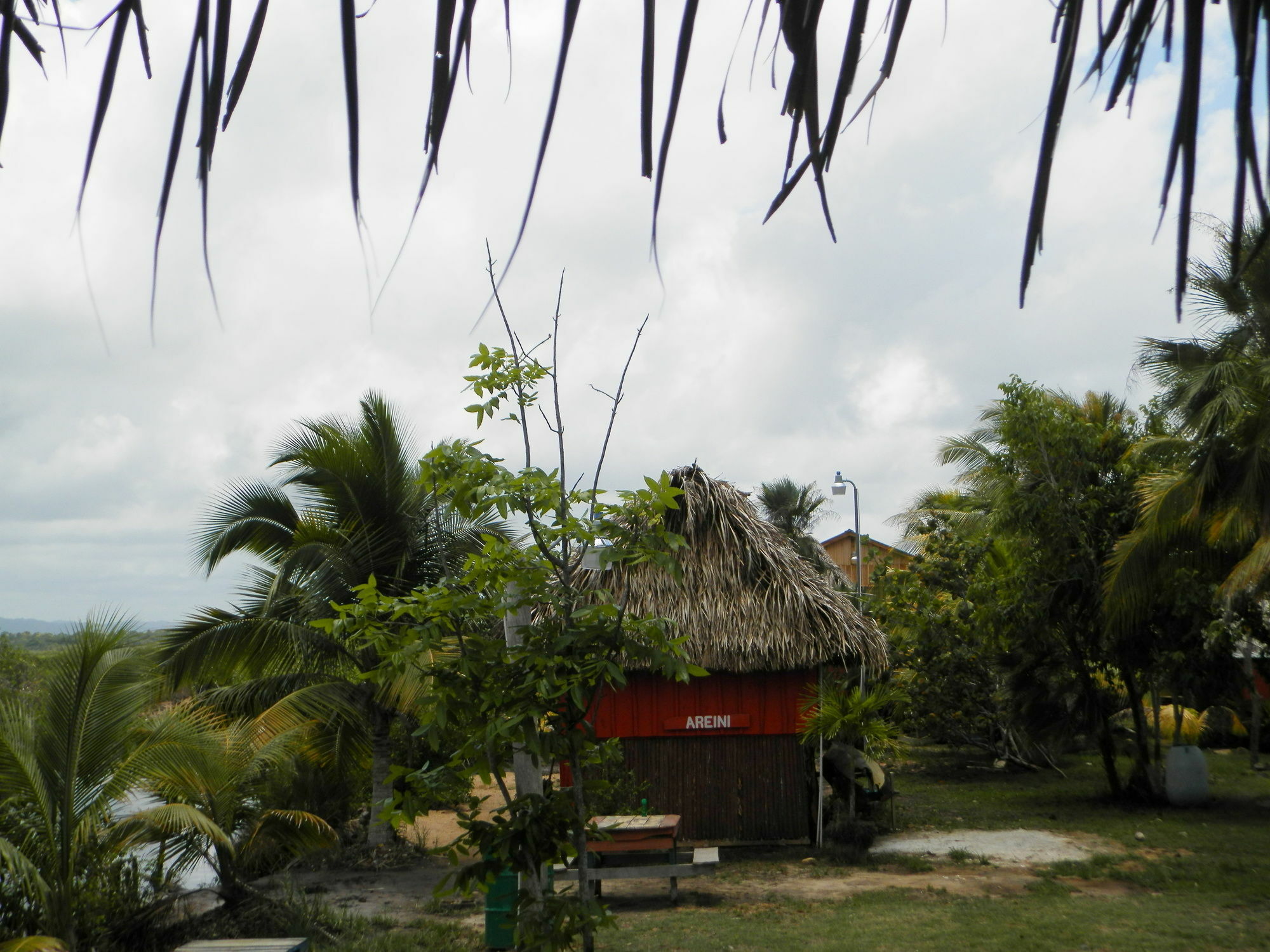 הופקינס Palmento Grove Cultural And Fishing Lodge מראה חיצוני תמונה